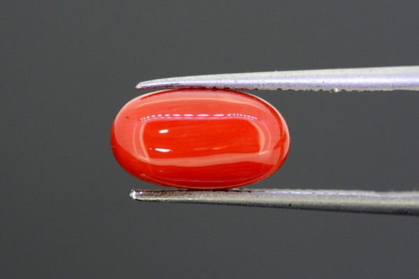 4.74 cts Natural Coral (Moonga)