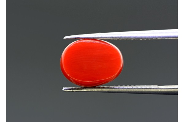 4.96 cts Natural Coral (Moonga)