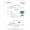 IIGJ Research & Laboratories | GJEPC Report for 4.01 cts Natural Emerald (Panna)
