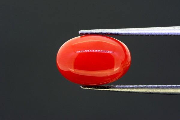 4.16 cts Natural Coral (Moonga)