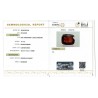 IIGJ Research & Laboratories | GJEPC Report for 11.74 cts Natural Hessonite Garnet (Gomedh)