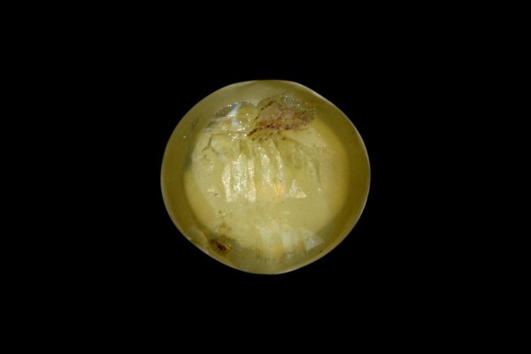 2.64 cts Natural Cats Eye (Lehsunia)