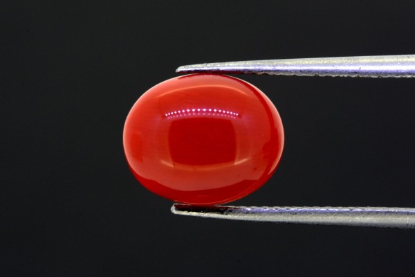3.48 cts Natural Coral (Moonga)