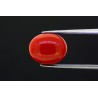3.48 cts Natural Coral (Moonga)
