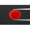 3.48 cts Natural Coral (Moonga)