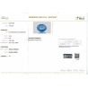 IIGJ Research & Laboratories | GJEPC Report for 4.55 cts Natural Blue Sapphire (Neelam)