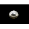 4.77 cts Cultured Pearl (Moti)
