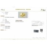 IIGJ Research & Laboratories | GJEPC Report for 4.62 cts Unheated Natural Yellow Sapphire (Pukhraj)