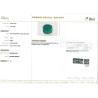 IIGJ Research & Laboratories | GJEPC Report for 4.47 cts Natural Emerald (Panna)