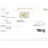 IIGJ Research & Laboratories | GJEPC Report for 9.51 cts Unheated Natural Yellow Sapphire (Pukhraj)