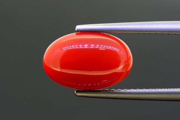 3.51 cts Natural Coral (Moonga)