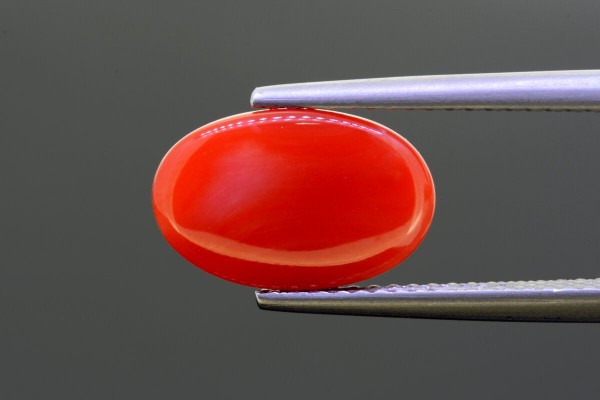 3.51 cts Natural Coral (Moonga)