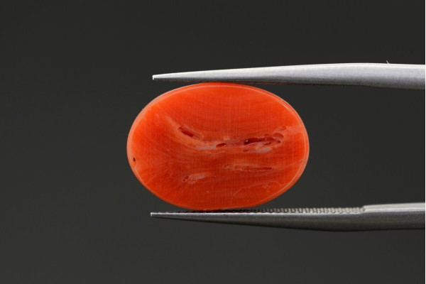 4.79 cts Natural Coral (Moonga)