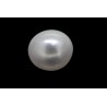1.21 cts Natural Pearl (Moti)