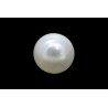 1.2 cts Natural Pearl (Moti)