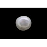 .88 ct Natural Pearl (Moti)
