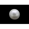 1.15 cts Natural Pearl (Moti)