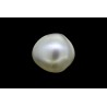 1.44 cts Natural Pearl (Moti)