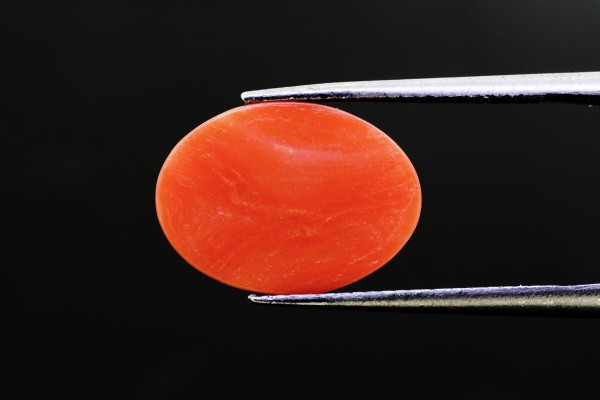 3.46 cts Natural Coral (Moonga)