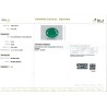 IIGJ Research & Laboratories | GJEPC Report for 3.93 cts Natural Emerald (Panna)
