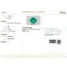IIGJ Research & Laboratories | GJEPC Report for 3.88 cts Natural Emerald (Panna)