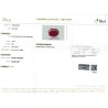 IIGJ Research & Laboratories | GJEPC Report for 2.09 cts Unheated Natural Ruby (Manikya)