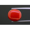 9.67 cts Natural Coral (Moonga)