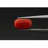 2.53 cts Natural Coral (Moonga)