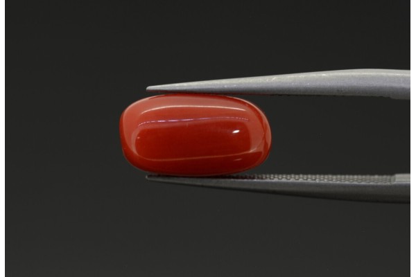 2.58 cts Natural Coral (Moonga)