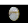 8.11 cts Natural Cats Eye (Lehsunia)