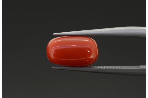 2.56 cts Natural Coral (Moonga)
