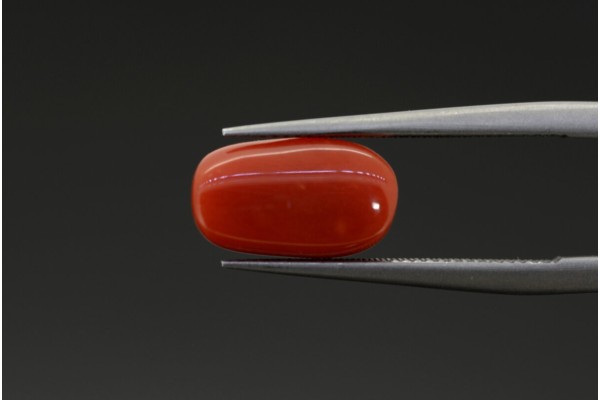 2.56 cts Natural Coral (Moonga)