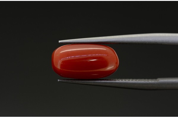 2.87 cts Natural Coral (Moonga)