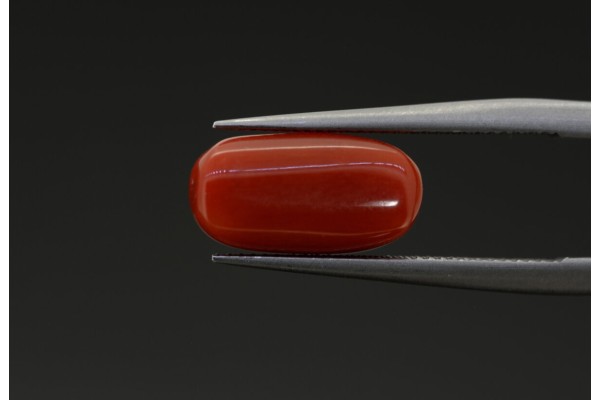 2.87 cts Natural Coral (Moonga)