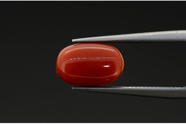 2.65 cts Natural Coral (Moonga)