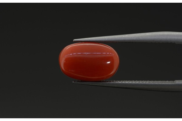 2.65 cts Natural Coral (Moonga)