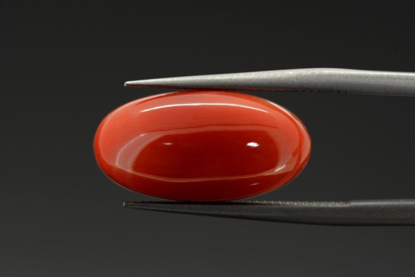 5.67 cts Natural Coral (Moonga)