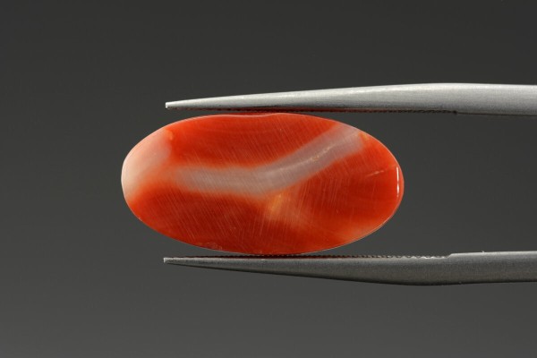 5.67 cts Natural Coral (Moonga)