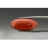 9.93 cts Natural Coral (Moonga)