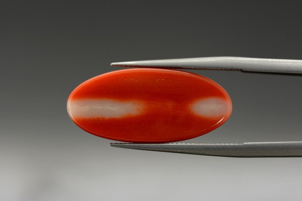 9.93 cts Natural Coral (Moonga)