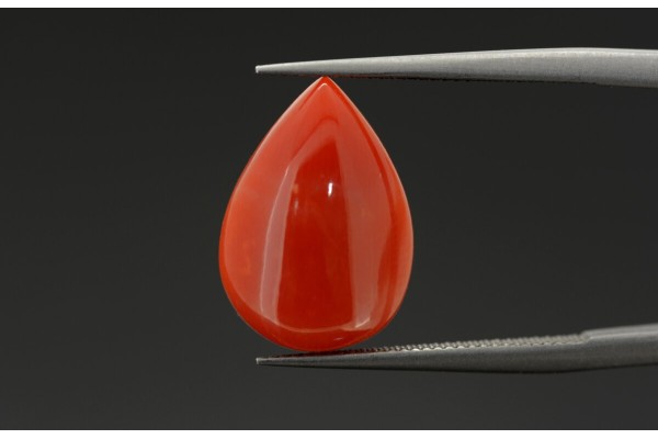 3.69 cts Natural Coral (Moonga)