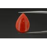3.69 cts Natural Coral (Moonga)