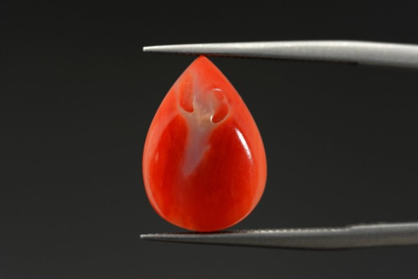 3.69 cts Natural Coral (Moonga)