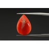 3.69 cts Natural Coral (Moonga)