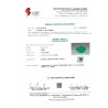 Gem Testing Laboratory | GJEPC Report for 8.11 cts Natural Emerald (Panna) - Earring Pair