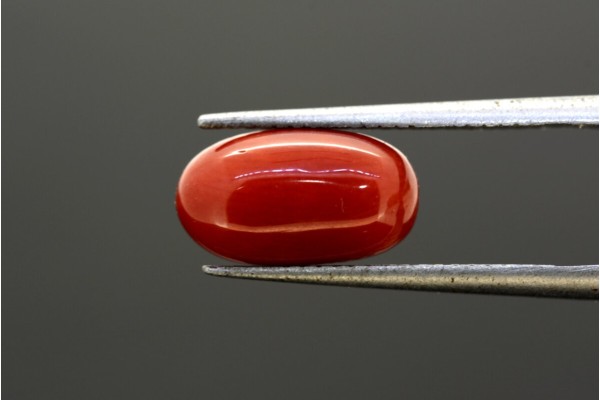 3.87 cts Natural Coral (Moonga)