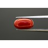 3.87 cts Natural Coral (Moonga)