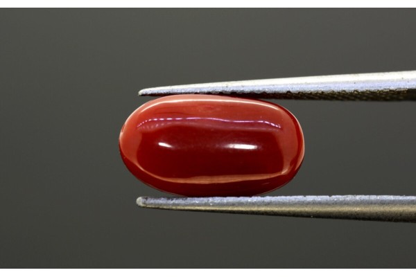 3.87 cts Natural Coral (Moonga)