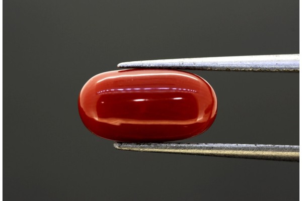3.77 cts Natural Coral (Moonga)