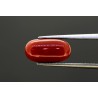 3.77 cts Natural Coral (Moonga)